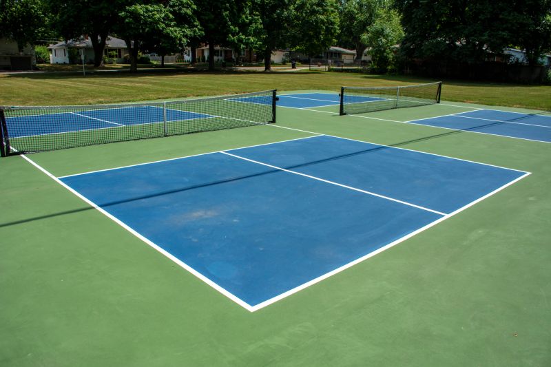Court Cleaning and Maintenance
